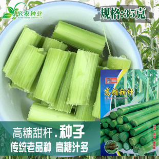 高糖甜杆种子 菜园甜高粱甜秫秸 糖高粱种子 茎秆脆甜多汁高粱籽