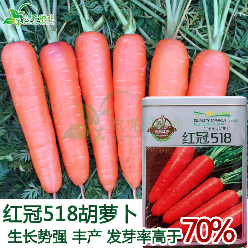 Farmer's Manor Red Crown 518 Carrot Seed Three red Seven inches Carrot Strong growth potential All raw and cooked foods are acceptable.in the Agricultural goods , Seed/Seedlings , Vegetable Seeds  category - from Buy2taobao.com to provide professional Taobao agent buy service