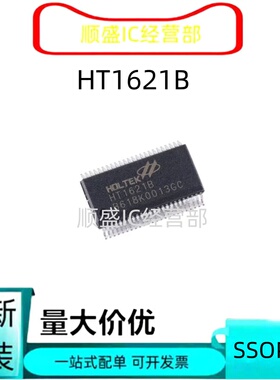 直拍全新原装台产HT1621B JL1621 SSOP48 TM1621B HK1621B