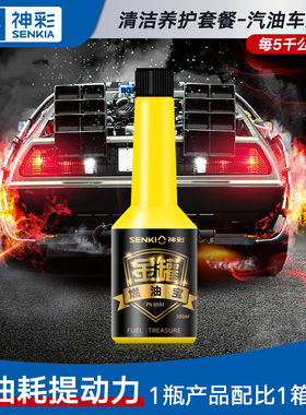 神彩金罐燃油宝100ml*12汽车燃油添加剂除积碳油路清洗剂提升动力