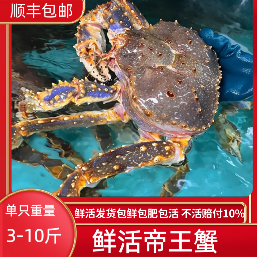 鲜活帝王蟹海鲜水产阿拉斯加皇帝蟹生猛螃蟹鲜活发货顺丰包活包鲜