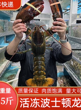 波士顿龙虾特大鲜活速冻波龙海鲜水产龙虾冰鲜冷冻大龙虾10斤包邮