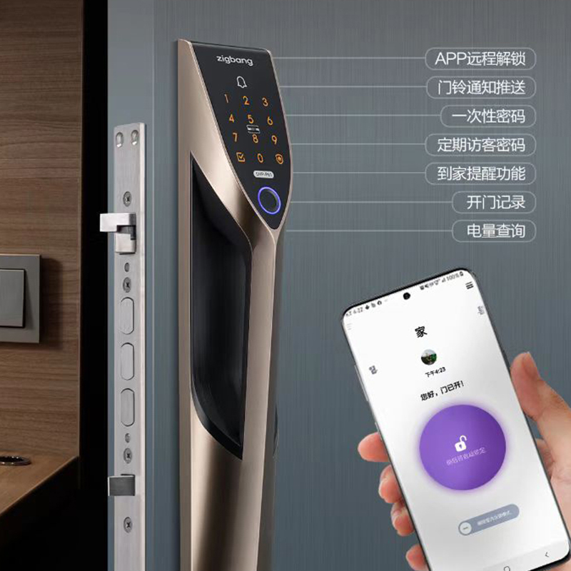 韩国直帮指纹锁智能电子家用防盗门联网wifi密码全自动P61