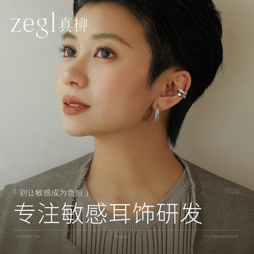 zegl新款碎光耳环轻奢舒芯针