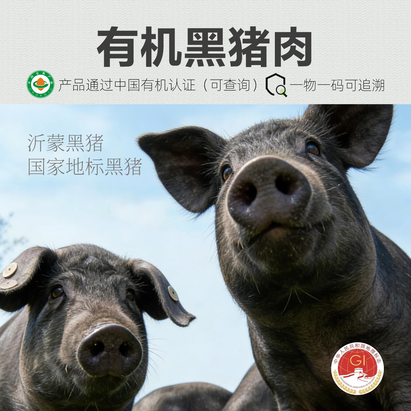 有机土猪肉沂蒙山散养现杀黑猪肉新鲜五花肉猪肝大肠猪肚猪蹄排骨