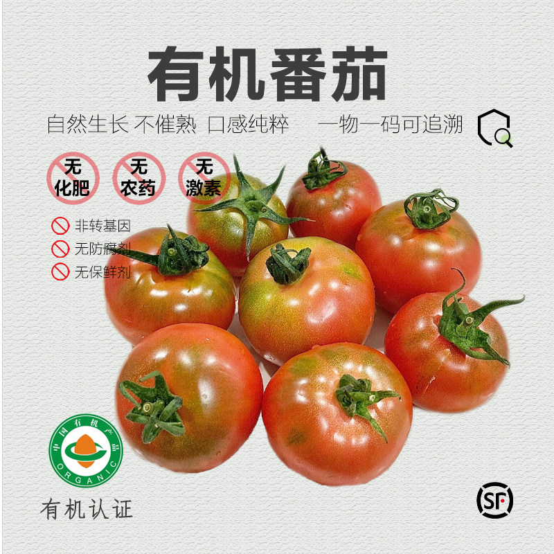 有机西红柿&reg;云南高原草莓番茄新鲜自然熟生吃有机蔬菜水果番茄