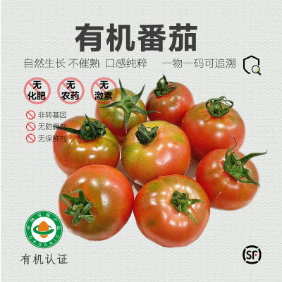 有机西红柿®云南高原草莓番茄新鲜自然熟生吃有机蔬菜水果番茄