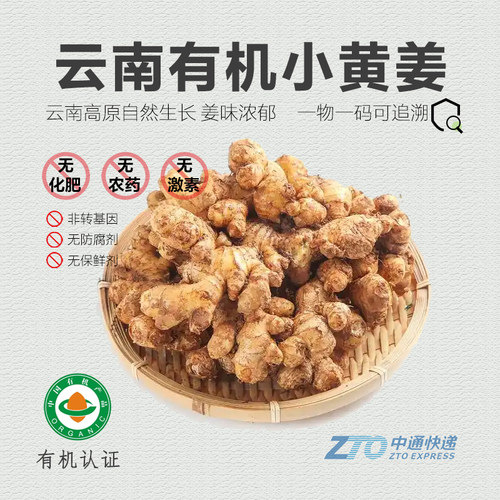有机小黄姜 云南新鲜姜现挖鲜姜生姜非老姜嫩姜月子姜有机姜