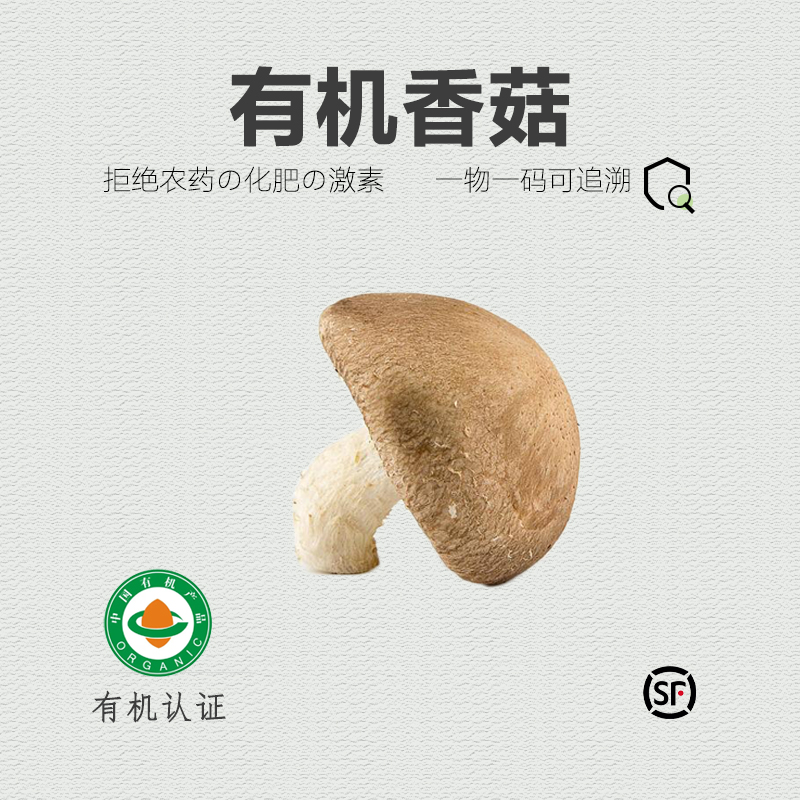 有机香菇新鲜125g*6份 水产肉类/新鲜蔬果/熟食 新鲜松茸/菌菇 原图主图