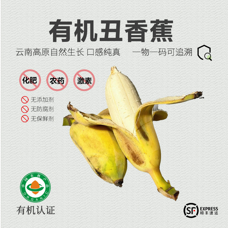 有机香蕉 云南高原自然生长香蕉小芭蕉