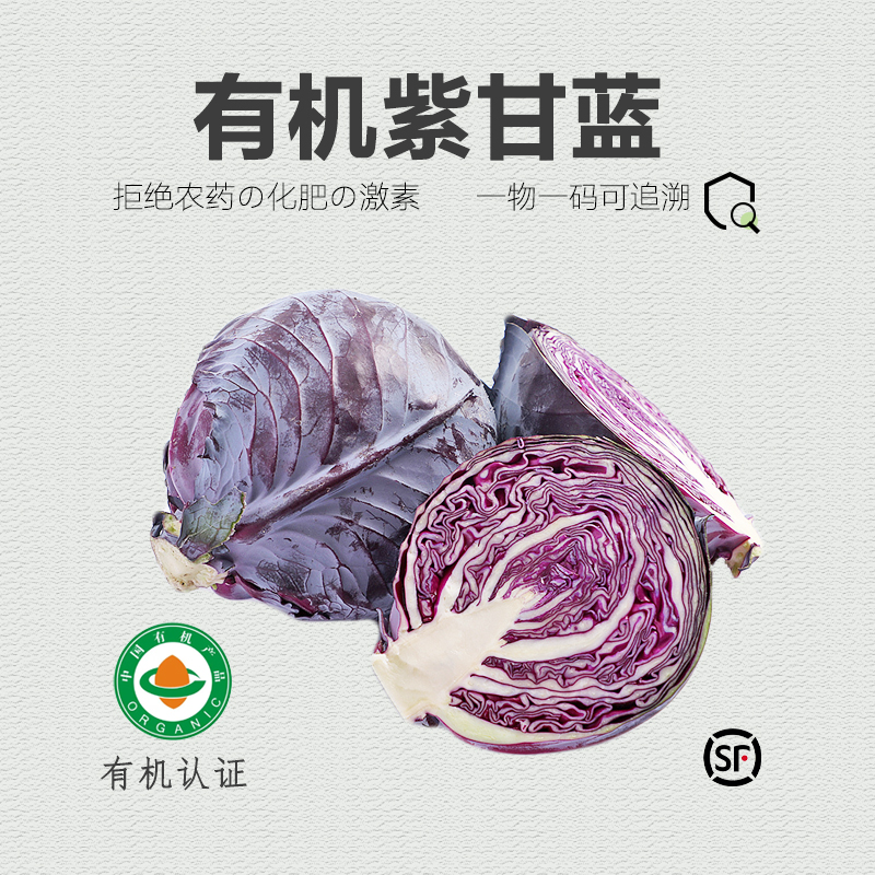 有机紫甘蓝新鲜蔬菜沙拉生吃5斤...