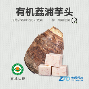 新鲜广西荔浦芋头正宗香芋大芋头 有机荔浦芋头 新鲜上市