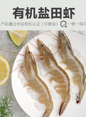 有机虾 生态盐田虾活虾速冻虾仁鲜虾宝宝辅食冷冻大虾俏虾客®