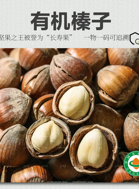 有机榛子 东北小兴安岭天然坚果零食榛子仁
