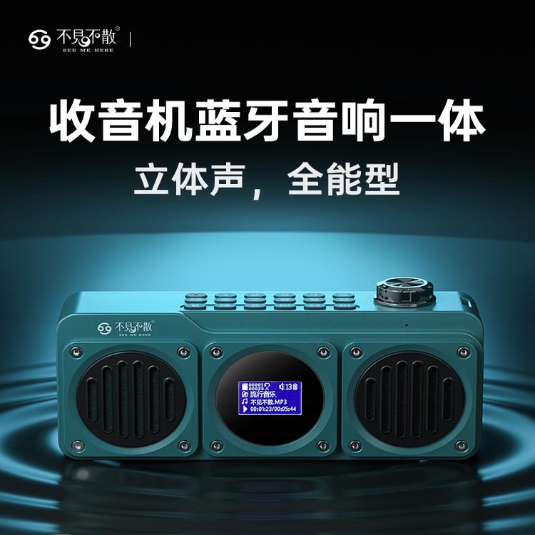 不见不散BV810无线蓝牙音箱户外低音炮插卡U盘收音便携式播放器