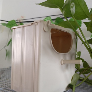 繁殖箱小型鸟窝七彩文鸟白文灰文白文牧师芙蓉玉鸟十姐妹保姆包邮