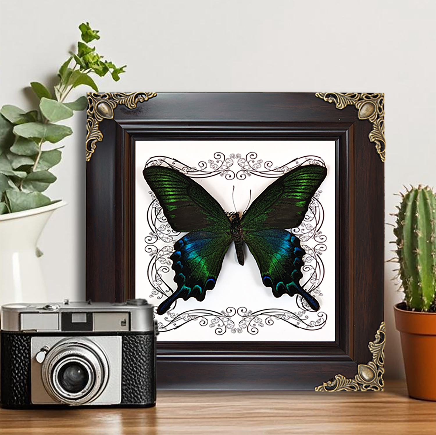 真蝴蝶标本相框欧美风装饰画DIY复古相框生日礼物家居装饰工艺品图片