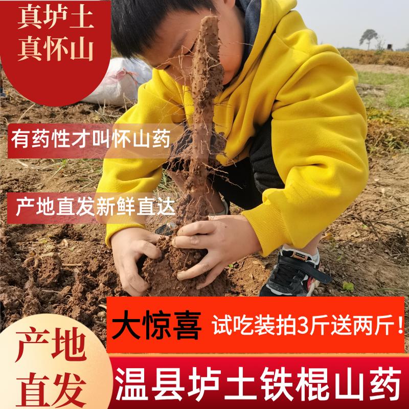 2025新挖河南焦作温县垆土铁棍怀山药养生药食同源无硫热销包邮