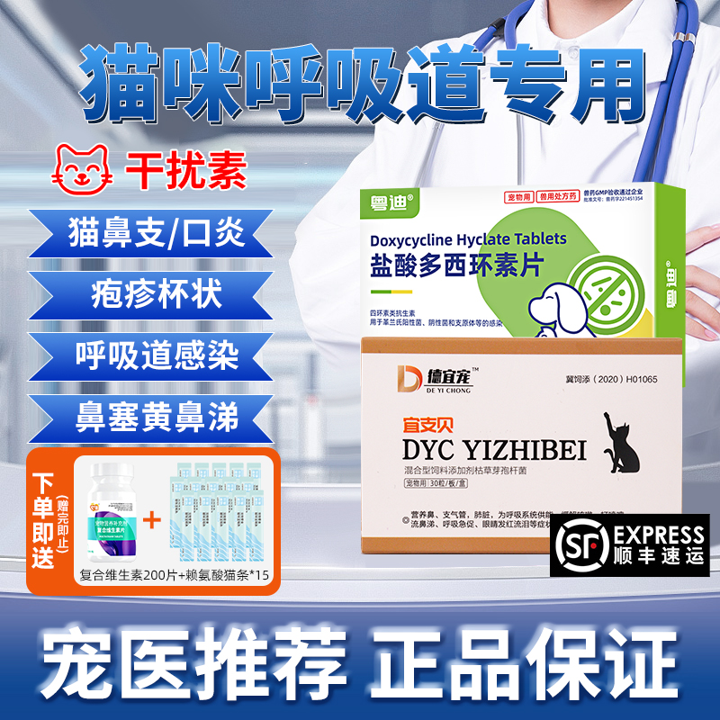 猫鼻支特效药杯状专用感冒流鼻涕