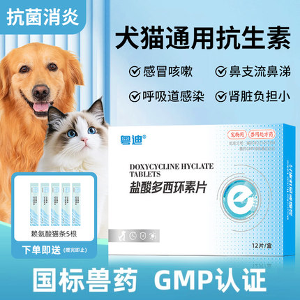 多西环素狗狗猫咪感冒药咳嗽流鼻涕支原体犬窝咳猫鼻支气管炎止咳