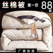 加厚桑丝被冬被丝棉被芯保暖冬天被子双人春秋被太空调被全棉冬季