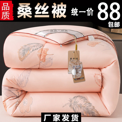 加厚被子冬被保暖长丝被冬款双人