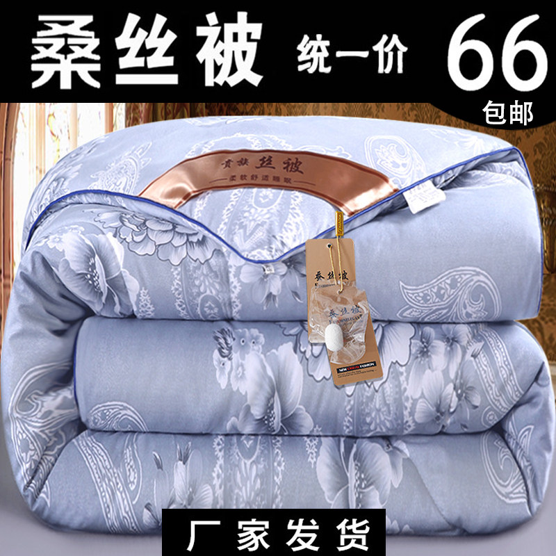 冬天加厚被子被芯丝棉被春秋冬被太空调被双人单人保暖被褥子冬季,床上用品,化纤被,淘宝优惠券,粉丝福利购,淘宝优惠卷