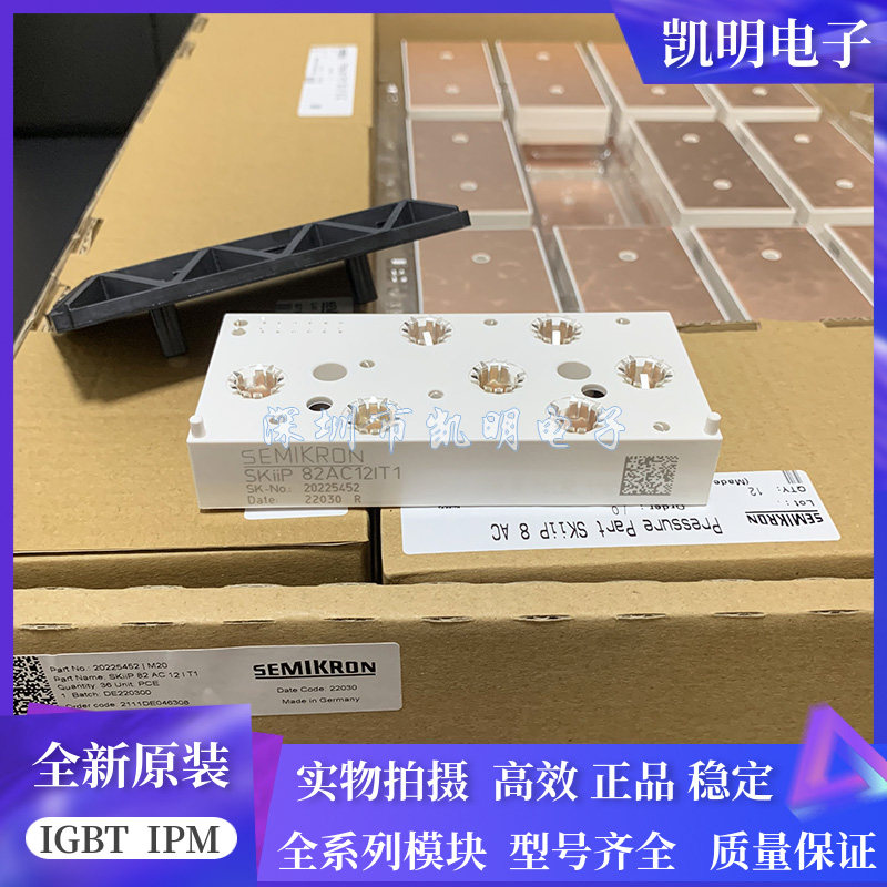 SKIIP83AC12IT1 SKIIP82AC12IT1 SKIIP81AC12IT1 SKIIP83EC125T1 - 实物图