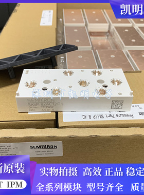 SKIIP83AC12IT1 SKIIP82AC12IT1 SKIIP81AC12IT1 SKIIP83EC125T1