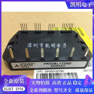 PM50RL1C060 PM75RL1C060 PM50R6BL1C060 PM75B4L1C060