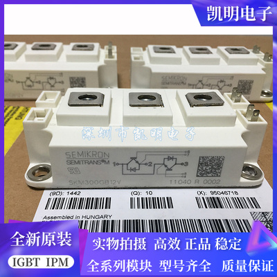 SKM450GB12T4 SKM200GB125D SKM200GB176D SKM300GB12V 150GB123D