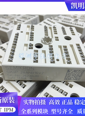 SKIIP28ANB16V2 SKIIP28ANB16V1 SKIIP28AN16V2 SKIIP28AN16V1