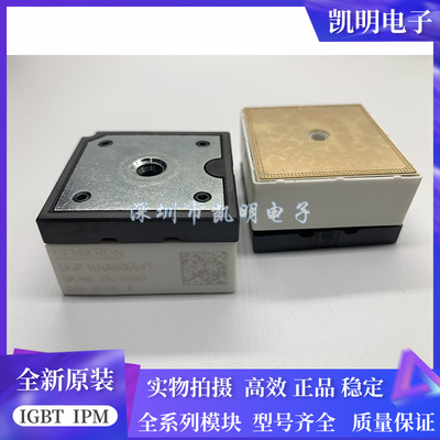 SKIIP14NAB065V1 SKIIP11NAB066V1 SKIIP12NAB066V1 P13NAB066V2