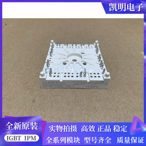 SK50DGDL126T SK25DGDL126T SK35DGDL126T SK20DGDL065ET DL126ET