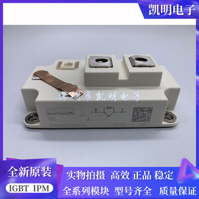 SKM600GA12T4 SKM500GA12T4 SKM400GA12T4 SKM300GA 200GA 800GA