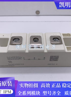 全新原装SKND202E02 SKND202E03 SKND205F06 SKKE120F17 SKMD202