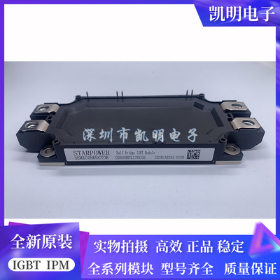 GD600HFY120C6S GD450HFY120C6S GD300HFY120C6S GD600HFL170C6S