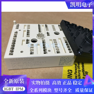 SKIIP26AC12T4V1 SKIIP25AC126V1 SKIIP25AC12T4V1 KIIP24AC126V1