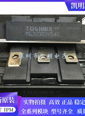 MG100Q2YS40 MG100Q2YS42 MG200Q2YS40 MG300Q2YS50 MG200Q2YS50