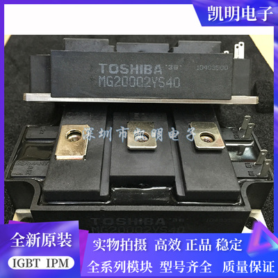 MG100Q2YS40 MG100Q2YS42 MG200Q2YS40 MG300Q2YS50 MG200Q2YS50