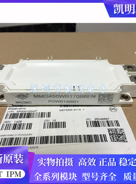 MMG450WB170B MMG450WB170B6EN MMG600WB170B6EN MMG300WB170B 新