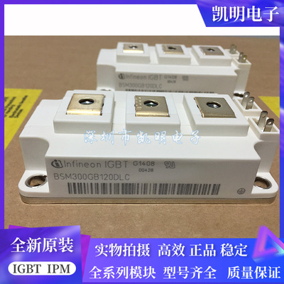 BSM300GB120DLC BSM200GB120DN2 BSM150GB170DLC BSM100GB120DN2
