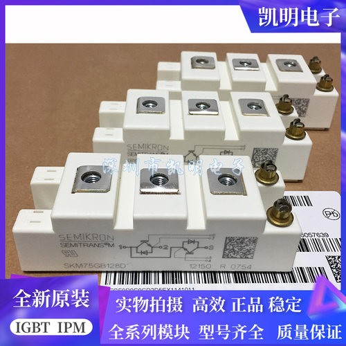 全新SKM75GB128D SKM75GB123D SKM100GB128DE SKM100GB123D SKM50