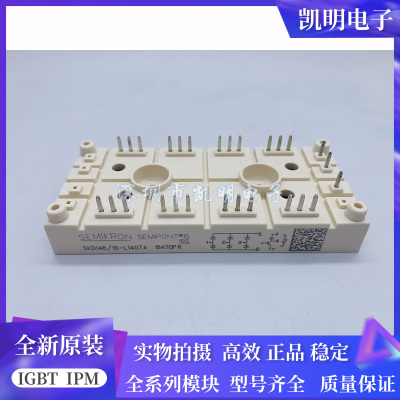 SKDH146/16-L100 SKD116/16-L75 SKD146/16-L140T4 SKD116/12-L10