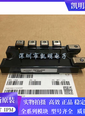 PM100CLA060 PM100CL1A060 PM75CLA060 PM75CL1A060 PM150CL1A060