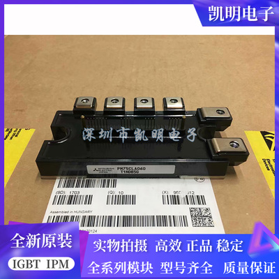 PM100CLA060 PM100CL1A060 PM75CLA060 PM75CL1A060 PM150CL1A060