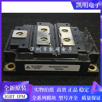 MG100Q2YS42 MG150Q2YS50 MG300Q2YS40 MG200Q2YS11 MG150Q2YS51