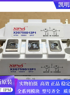 X2G75CD06P1 X2G100CD06P1 X2G50SD12P1 X2G75SD12P1 100SD12P1