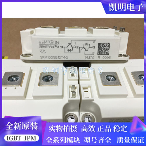 SKM200GB128D SKM100GB12T4G SKM300GB124D SKM300GBD12T4