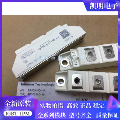 全新SKMD100/08 SKMD100/12 SKMD100/14 SKMD100/16 SKMD100/18E